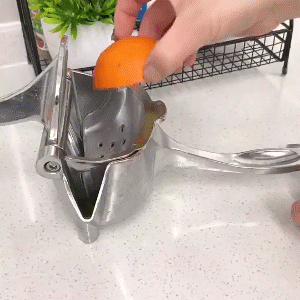 Manual Fruit Juicer