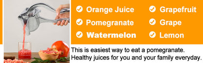 Manual Fruit Juicer